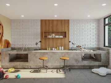 DOG WASH